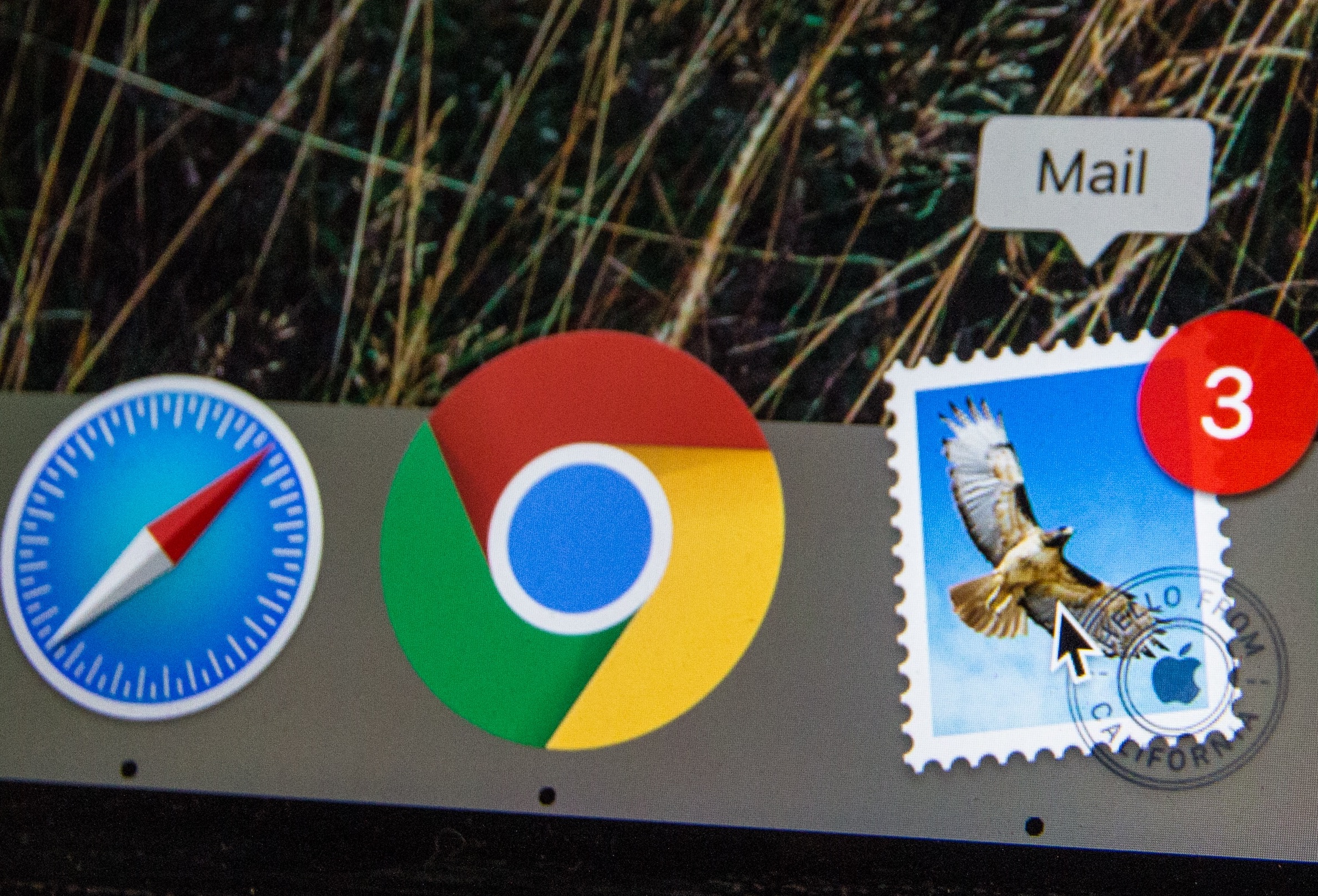 Activate your account